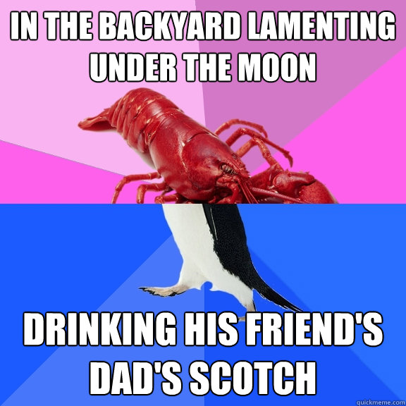 in the backyard lamenting under the moon Drinking his friend's dad's scotch  Awkward Relationship