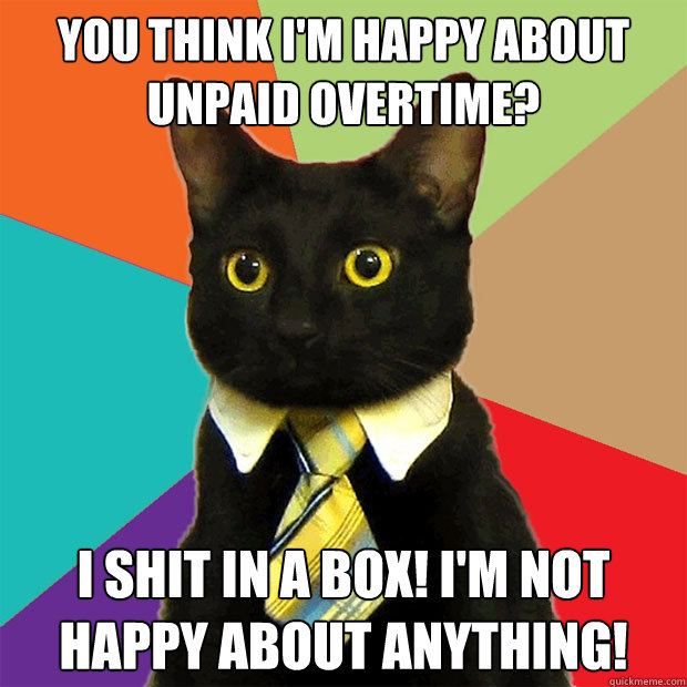 You think I'm happy about unpaid overtime? I SHIT IN A BOX! I'm not happy about anything! - You think I'm happy about unpaid overtime? I SHIT IN A BOX! I'm not happy about anything!  Business Cat