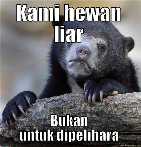 confession bear - KAMI HEWAN LIAR BUKAN UNTUK DIPELIHARA Confession Bear