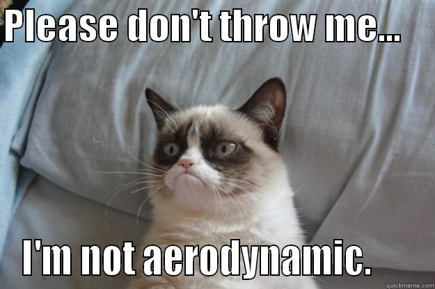 Tossed kitty - PLEASE DON'T THROW ME...     I'M NOT AERODYNAMIC.      Grumpy Cat