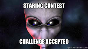 Staring contest  Challenge accepted - Staring contest  Challenge accepted  Challenge Accepted