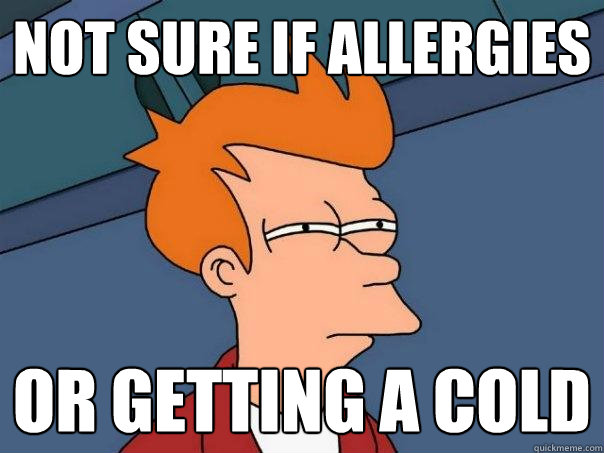 Not sure if allergies or getting a cold - Not sure if allergies or getting a cold  Futurama Fry