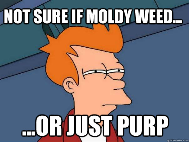 Not sure if moldy weed... ...or just purp  Futurama Fry