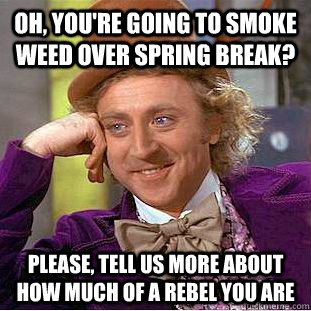 Oh, you're going to smoke weed over Spring Break? Please, tell us more about how much of a rebel you are - Oh, you're going to smoke weed over Spring Break? Please, tell us more about how much of a rebel you are  Condescending Wonka