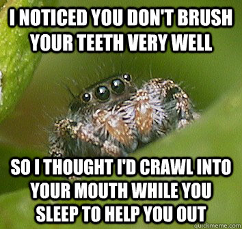 I noticed you don't brush your teeth very well So I thought I'd crawl into your mouth while you sleep to help you out  Misunderstood Spider