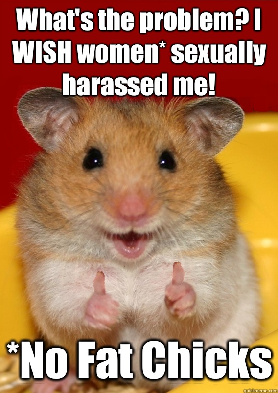 What's the problem? I WISH women* sexually harassed me! *No Fat Chicks   Rationalization Hamster