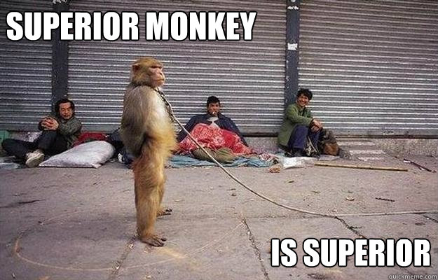 superior monkey is superior  