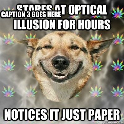 stares at optical illusion for hours notices it just paper Caption 3 goes here  Stoner Dog