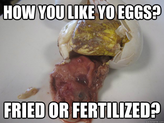 HOW YOU LIKE YO EGGS? FRIED OR FERTILIZED?  