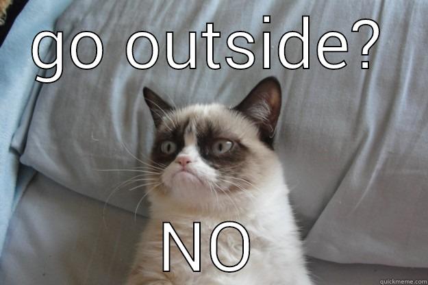 how about no  - GO OUTSIDE? NO Grumpy Cat