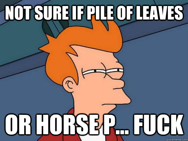 Not sure if pile of leaves  Or horse p... Fuck - Not sure if pile of leaves  Or horse p... Fuck  Futurama Fry