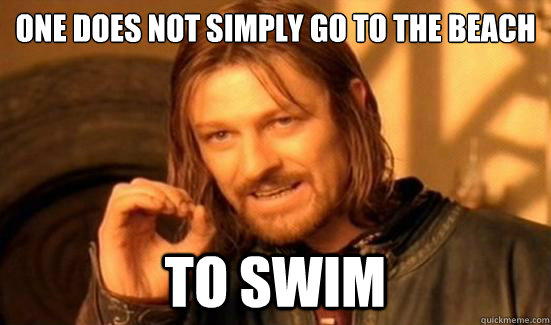 One Does Not Simply Go To The Beach To Swim  Boromir