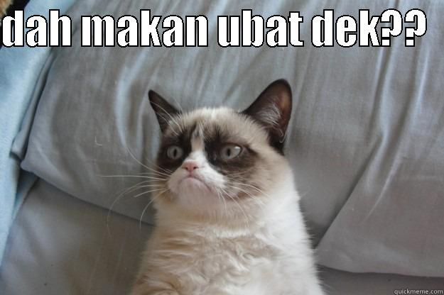 DAH MAKAN UBAT DEK??    Grumpy Cat