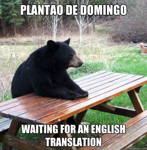 Plantao de domingo Waiting for an english translation  waiting bear