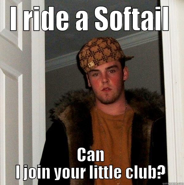 I RIDE A SOFTAIL CAN I JOIN YOUR LITTLE CLUB? Scumbag Steve