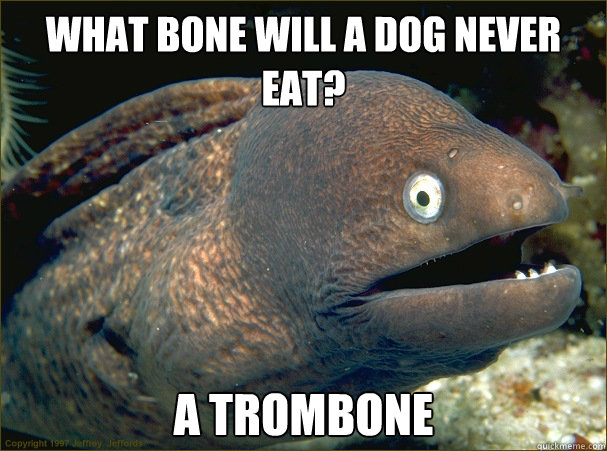 What bone will a dog never eat? A trombone  Bad Joke Eel