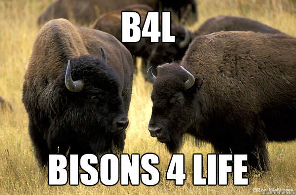 B4L Bisons 4 Life - B4L Bisons 4 Life  Bison Life