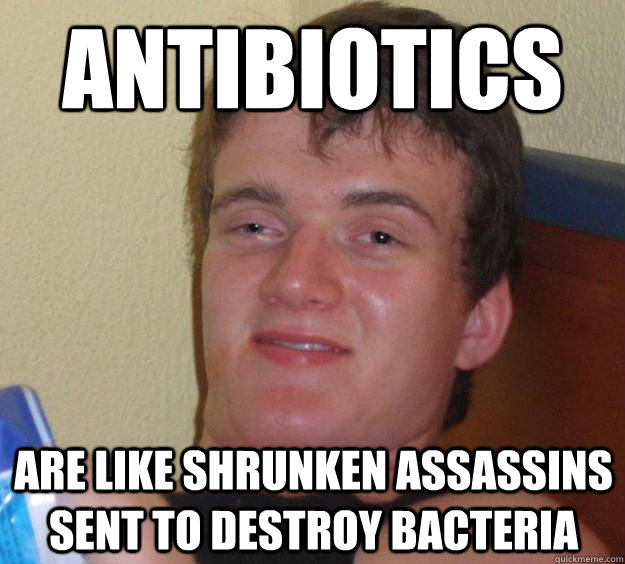 Antibiotics are like shrunken assassins sent to destroy bacteria - Antibiotics are like shrunken assassins sent to destroy bacteria  10 Guy