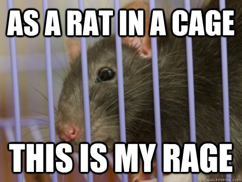 As a rat in a cage This is my rage - As a rat in a cage This is my rage  Misc