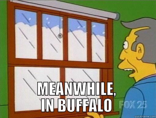  MEANWHILE, IN BUFFALO Misc