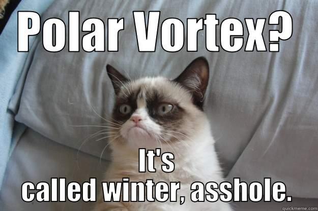 POLAR VORTEX? IT'S CALLED WINTER, ASSHOLE. Grumpy Cat