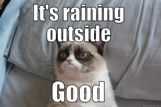 IT'S RAINING OUTSIDE GOOD Grumpy Cat