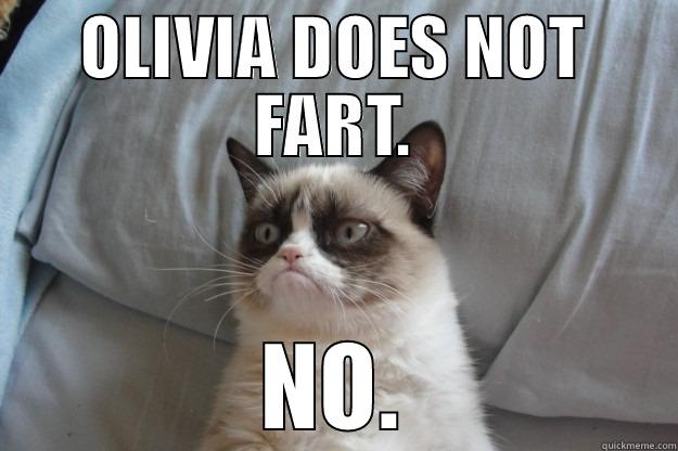 OLIVIA DOES NOT FART. NO. Grumpy Cat