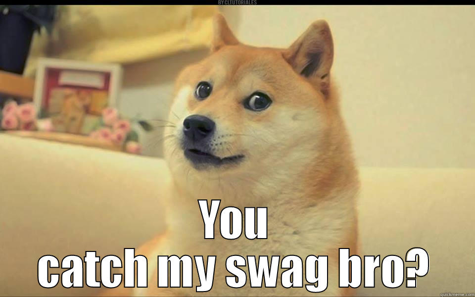  YOU CATCH MY SWAG BRO? Misc