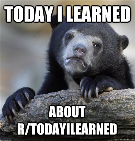 TODAY I LEARNED ABOUT R/TODAYILEARNED - TODAY I LEARNED ABOUT R/TODAYILEARNED  Confession Bear