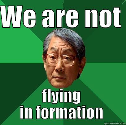 Flying in formation - WE ARE NOT  FLYING IN FORMATION High Expectations Asian Father