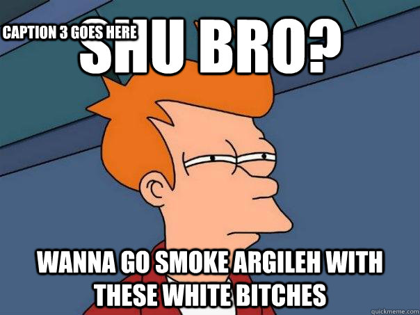 Shu Bro? Wanna go smoke argileh with these white bitches Caption 3 goes here  Futurama Fry