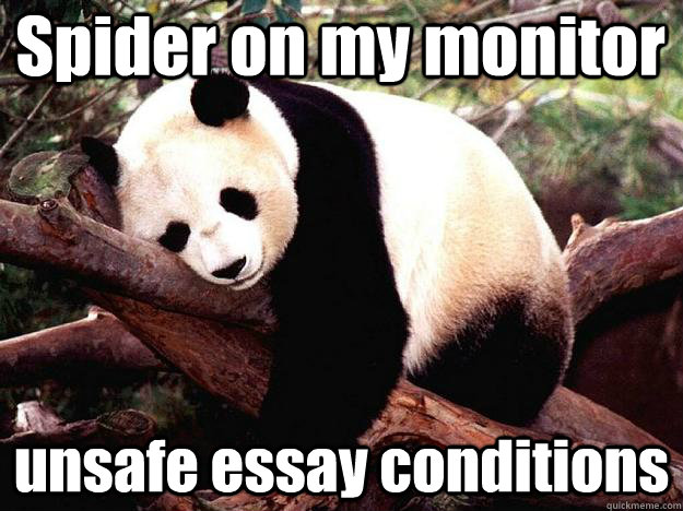 Spider on my monitor unsafe essay conditions  Procrastination Panda