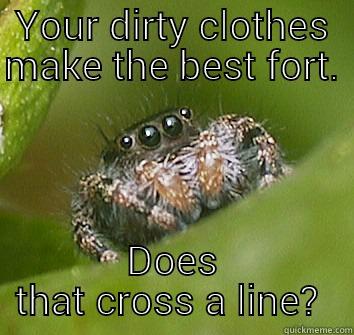 YOUR DIRTY CLOTHES MAKE THE BEST FORT.  DOES THAT CROSS A LINE?  Misunderstood Spider