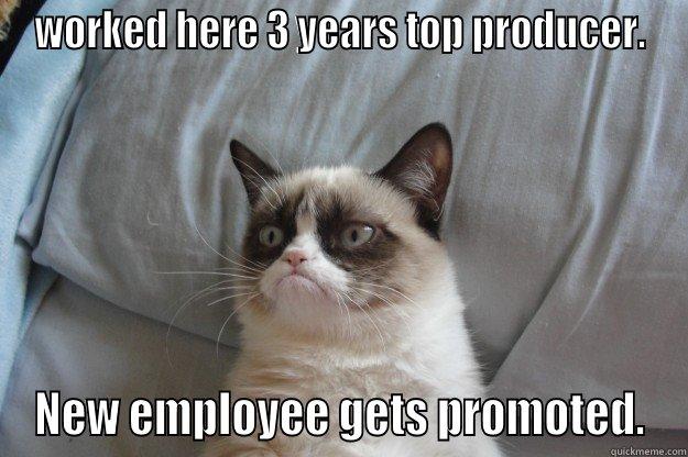 Top worker saves Bosses behind - WORKED HERE 3 YEARS TOP PRODUCER. NEW EMPLOYEE GETS PROMOTED. Grumpy Cat