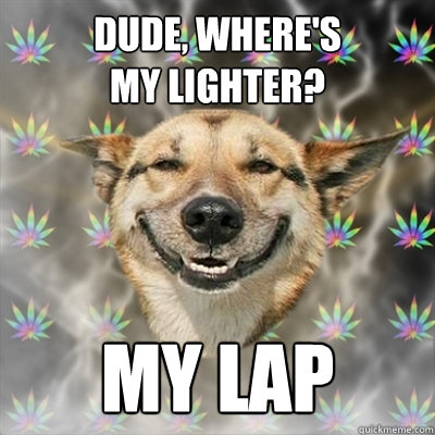 Dude, where's 
my lighter? my lap
  Stoner Dog