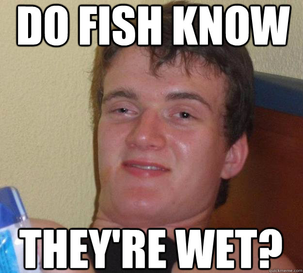 DO FISH KNOW  THEY'RE WET?  10 Guy