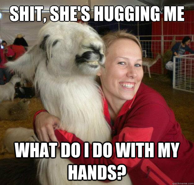 shit, She's hugging me  What do I do with my hands? - shit, She's hugging me  What do I do with my hands?  Socially Awkward Llama