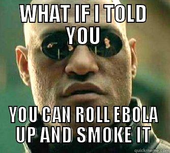 WHAT IF I TOLD YOU YOU CAN ROLL EBOLA UP AND SMOKE IT Matrix Morpheus