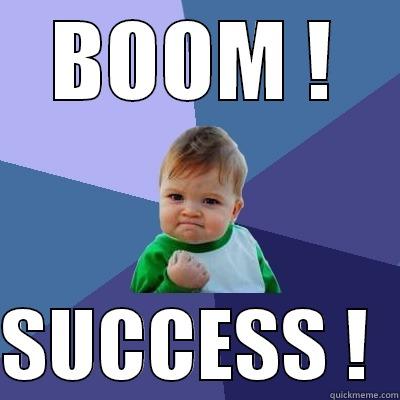 BOOM !  SUCCESS !  Success Kid