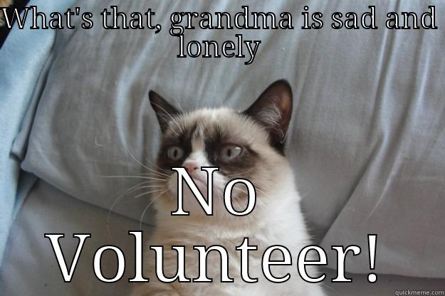 WHAT'S THAT, GRANDMA IS SAD AND LONELY NO VOLUNTEER! Grumpy Cat