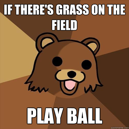 if there's grass on the field play ball  Pedobear