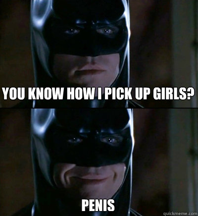 you know how i pick up girls? penis  Batman Biscuits