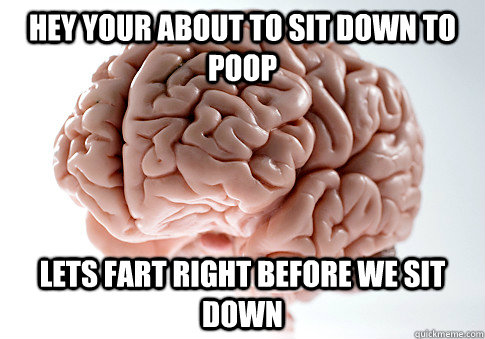 Hey your about to sit down to poop lets fart right before we sit down   Scumbag Brain