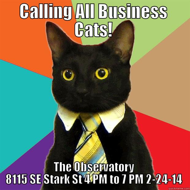 It's Happy Hour Time! - CALLING ALL BUSINESS CATS! THE OBSERVATORY 8115 SE STARK ST 4 PM TO 7 PM 2-24-14 Business Cat