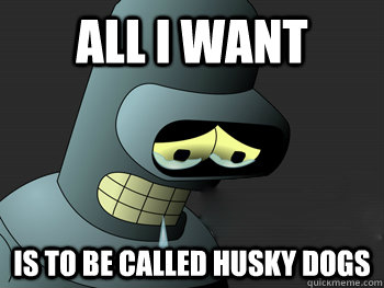 all i want is to be called husky dogs  Sad Bender