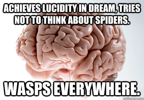 Achieves lucidity in dream, tries not to think about spiders. Wasps everywhere.  Scumbag Brain