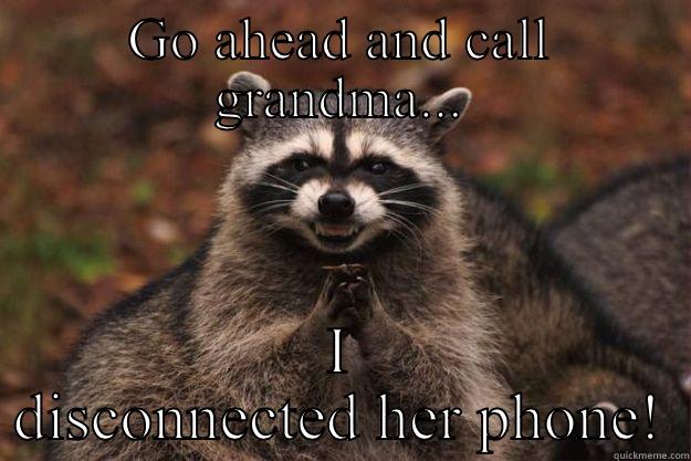 GO AHEAD AND CALL GRANDMA... I DISCONNECTED HER PHONE! Evil Plotting Raccoon