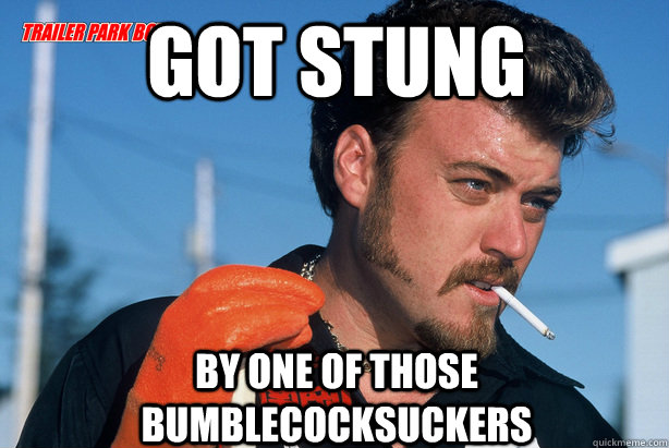 got stung by one of those bumblecocksuckers  Ricky Trailer Park Boys