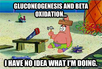 Gluconeogenesis and beta oxidation... I have no idea what I'm doing. - Gluconeogenesis and beta oxidation... I have no idea what I'm doing.  I have no idea what Im doing - Patrick Star