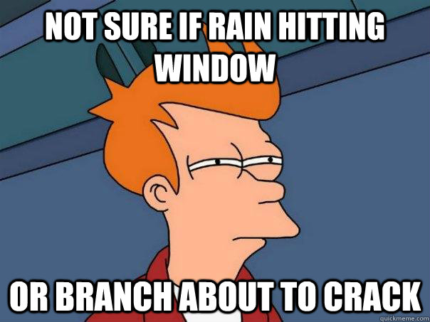 not sure if rain hitting window or branch about to crack - not sure if rain hitting window or branch about to crack  Futurama Fry